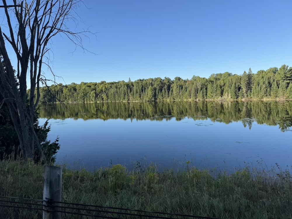 A serene lake surrounded by pine trees viewed from the road, with no building or houses along its shorelines.